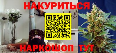 mdpv Краснознаменск