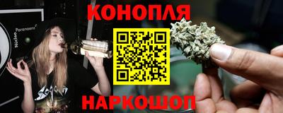 mdpv Краснознаменск