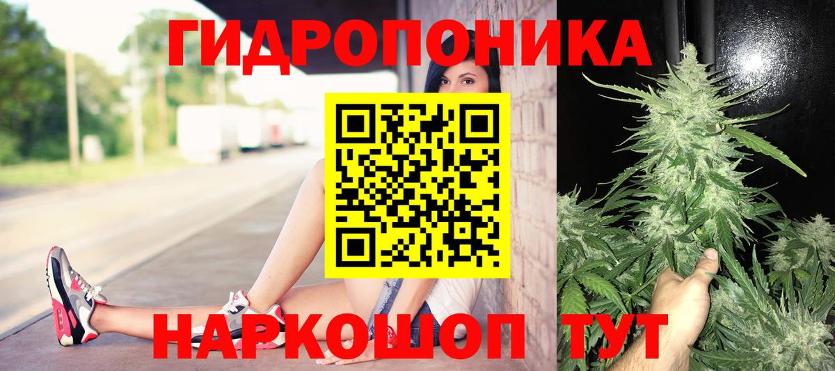 Каннабис Bruce Banner Заволжье